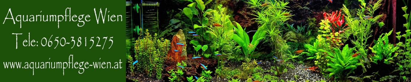 www.aquariumpflege-wien.at